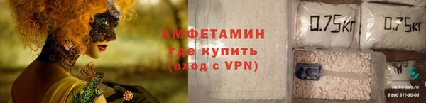 шишки Белоозёрский