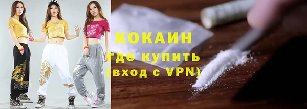 шишки Белоозёрский