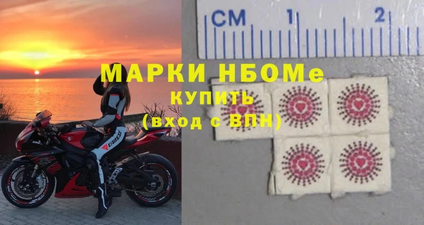 шишки Белоозёрский