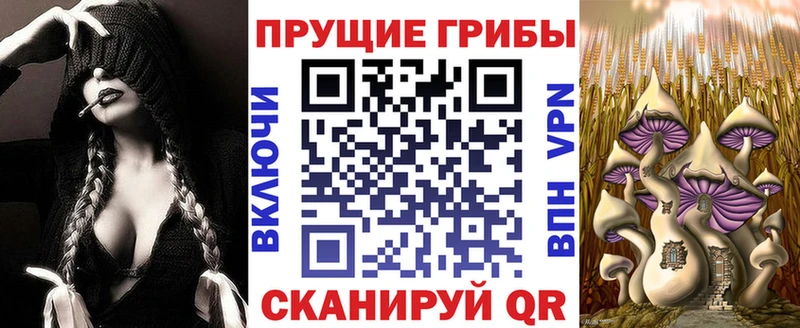 Галлюциногенные грибы Magic Shrooms  mega рабочий сайт  Буинск  где купить наркоту 